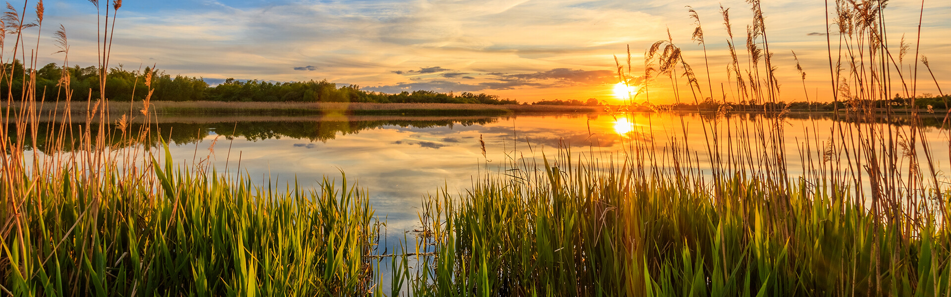 About Heritage Bay Condominiums